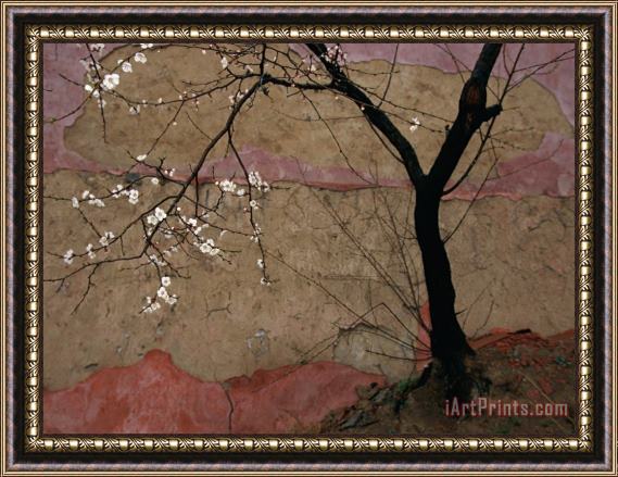 Raymond Gehman A Flowering Plum Tree Against a Wall Near Framed Painting