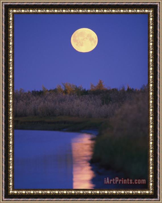 Raymond Gehman A Full Moon Is Reflected in The Mackenzie River Framed Print