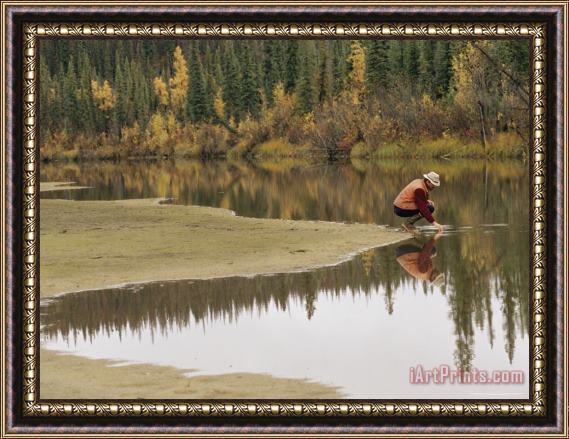 Raymond Gehman A Man And Spuce Trees Are Reflected in Shallow Waters Framed Print