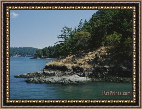 Raymond Gehman A Scenic View of a Peaceful Shoreline Framed Painting