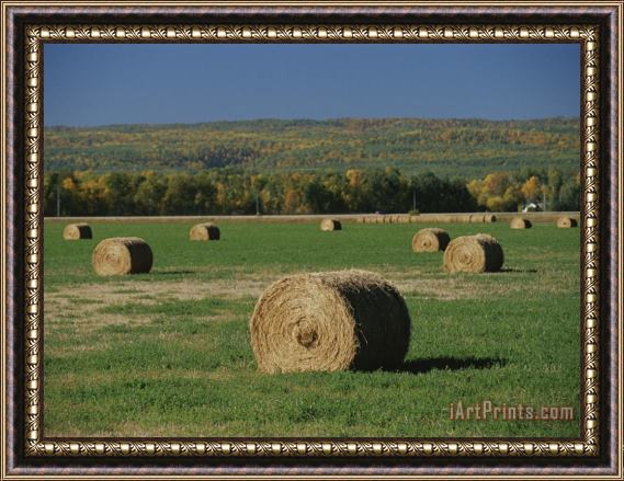 Raymond Gehman A View of Manitoba Escarpment Framed Painting