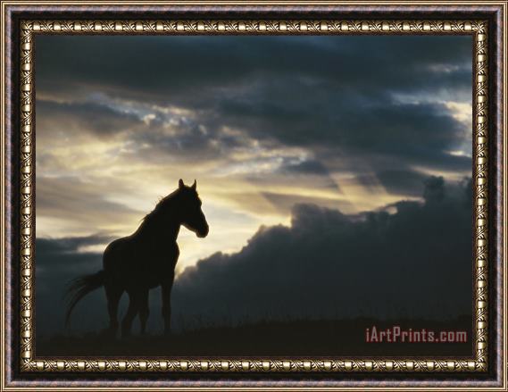 Raymond Gehman A Wild Horse Is Silhouetted by The Setting Sun Under Gathering Storm Clouds Framed Print