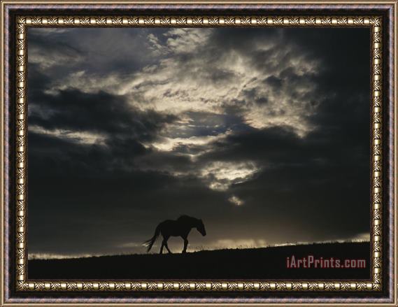 Raymond Gehman A Wild Horse Is Silhouetted Under Ominous Storm Clouds Framed Painting