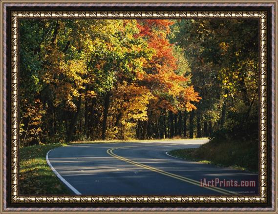 Raymond Gehman Autumn Colored Trees Lining The Scenic Skyline Drive Framed Painting