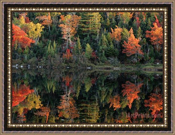 Raymond Gehman Autumn Foliage Reflected in a Canadian Lake Framed Painting