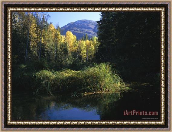 Raymond Gehman Autumnal View Near Cli Lake Framed Painting