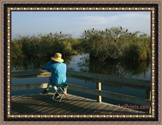 Raymond Gehman Bird Watching From a Wooden Walkway on The Anhinga Trail Framed Painting