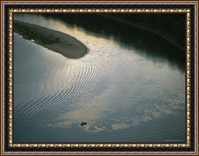 Fishing Boats in a Calm Sea Framed Prints - Birds Eye View of a Fishing Boat Encircled by Ripples From Its Wake by Raymond Gehman