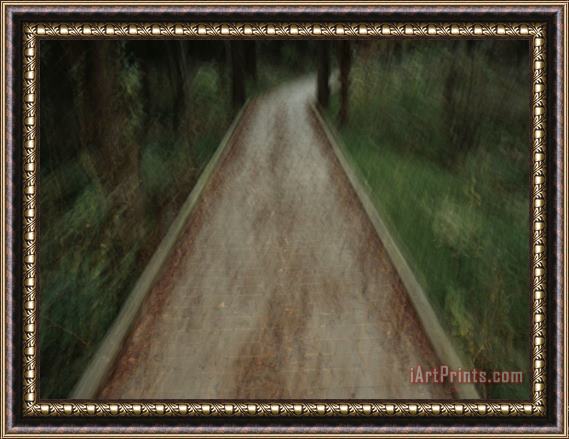 Raymond Gehman Boardwalk Trail Through a Wooded Landscape at Sloans Crossing Pond Framed Painting