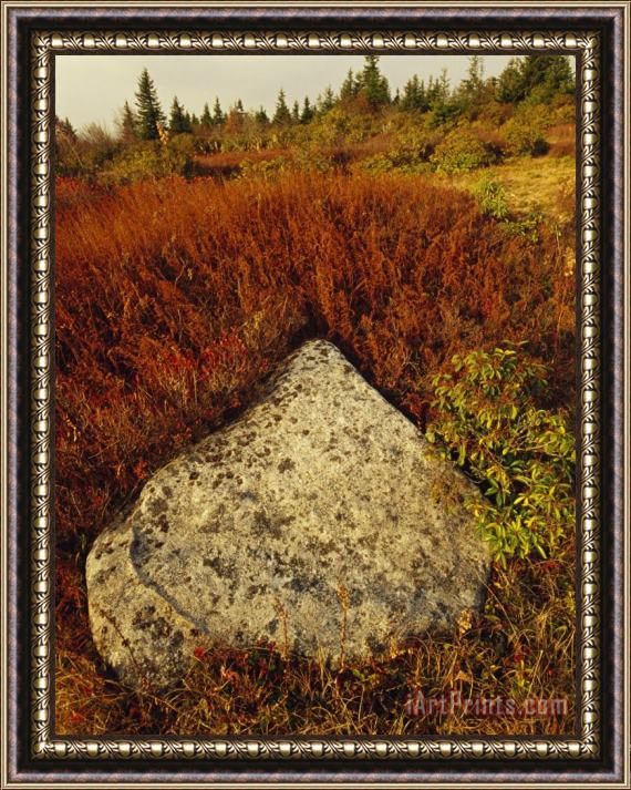 Raymond Gehman Boulder in Autumn Hued Landscape with Evergreen Trees Framed Painting