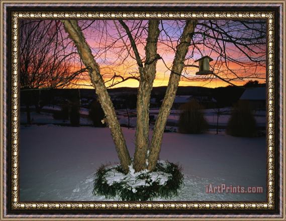 Raymond Gehman Brilliant Dawn Rises on a Tree And Birdhouse on a Snow Covered Yard Framed Painting