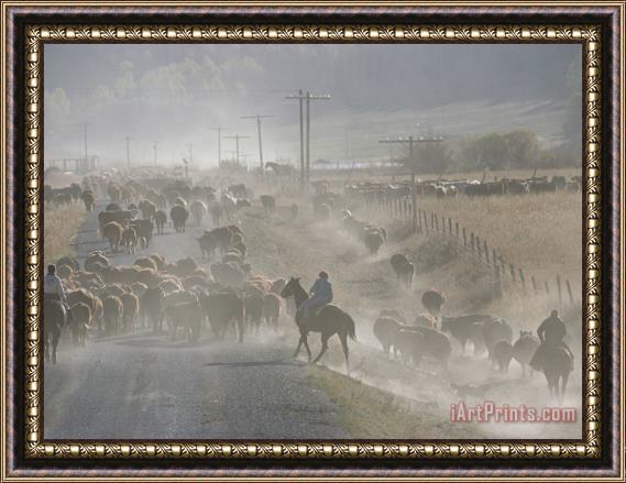 Raymond Gehman Cattle Round Up Caribou National Forest Idaho Framed Painting