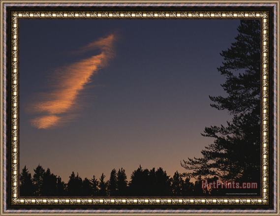 Raymond Gehman Cloud Lit by The Setting Sun Rises Above a Silhouetted Forest Framed Painting