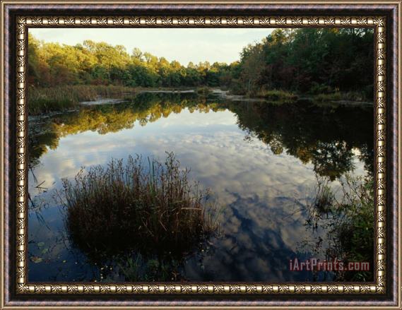 Raymond Gehman Clouds And Trees Casting Reflections in a Calm Pond Framed Painting