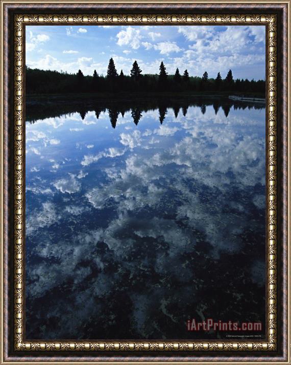 Raymond Gehman Clouds And Trees Reflected on The Surface of Astotin Lake Framed Print