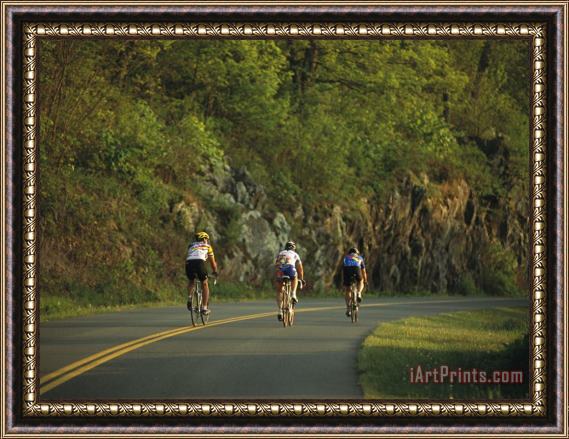 Raymond Gehman Cycling on The Blue Ridge Parkway Framed Painting