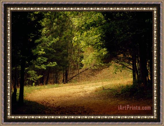 Raymond Gehman Eagle Point Trail Winding Through a Peaceful Forest Framed Print