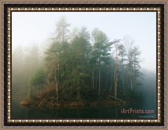Raymond Gehman Early Morning Fog in The Trees Around Otter Lake Framed Painting