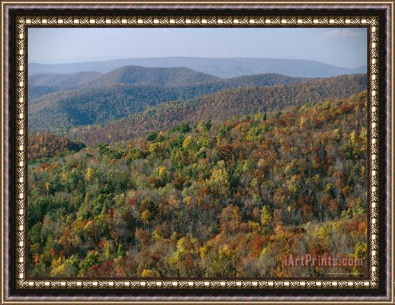 Raymond Gehman Fall Colors in Forests Along Tanners Ridge with View of Massanutten Mountain Framed Painting