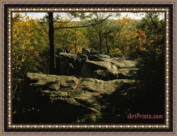 Raymond Gehman Fall Foliage And Boulders on The Appalachian Trail Framed Painting