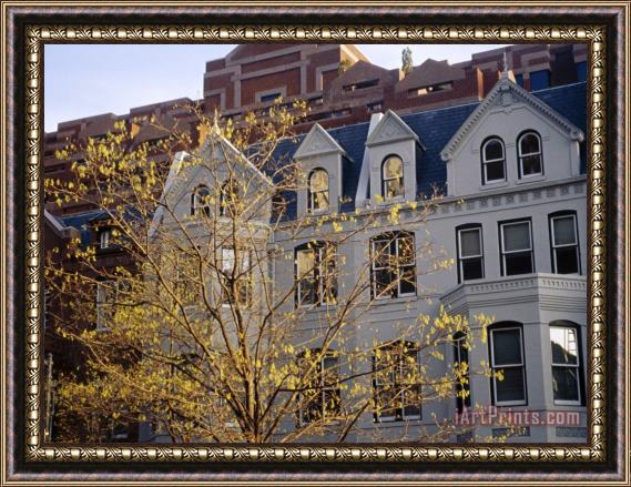 Raymond Gehman Fall Foliage And Buildings on Connecticut Avenue Framed Painting