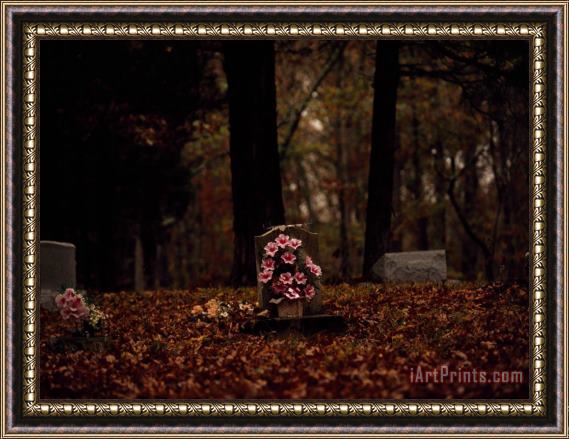 Raymond Gehman Flowers at a Tombstone in a Cemetery Near a Forest Framed Print