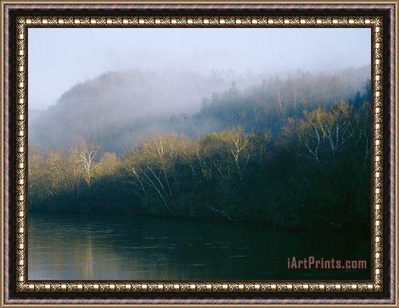 Raymond Gehman Fog Covers The Sycamore Trees That Grow Along The James River Framed Print