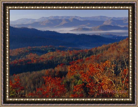 Raymond Gehman Fog Lying in Mountain Valleys in The Early Morning in Autumn Framed Painting
