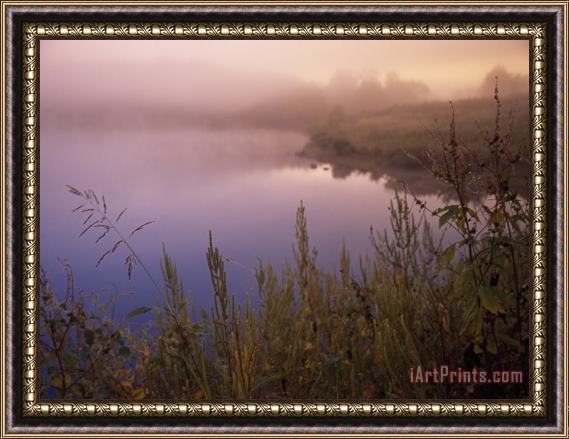 Raymond Gehman Foggy Sunrise Over Water Framed Painting