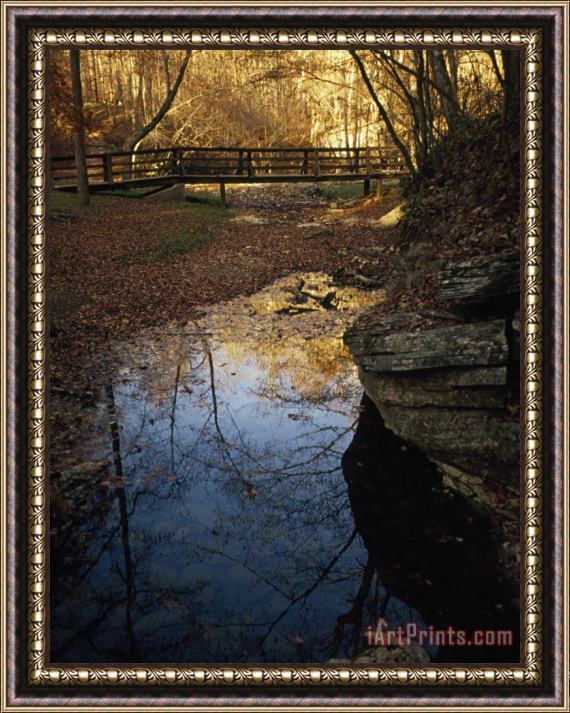 Raymond Gehman Footbridge Over a Woodland Creek Framed Print