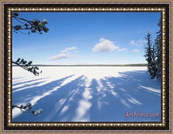 Raymond Gehman Frozen And Snow Covered Shoshone Lake Yellowstone National Park Framed Print
