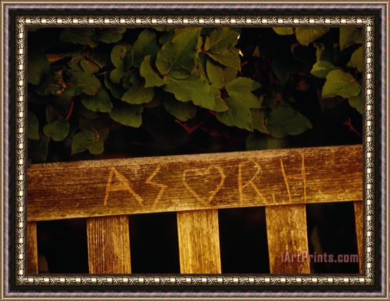 Raymond Gehman Graffiti Carved Into a Bench at The Quiet Garden Framed Print