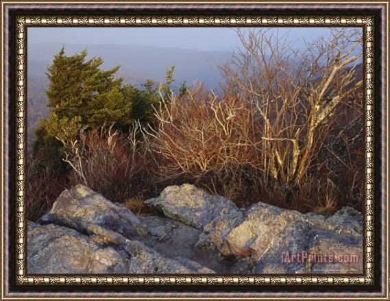Raymond Gehman Granite Outcrop on The Summit of Big Pinnacle Elevation 5068 Feet Framed Print