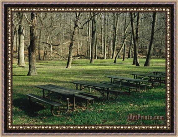 Raymond Gehman Green Picnic Tables And Benches in a Clearing Near Hardwood Trees Framed Print