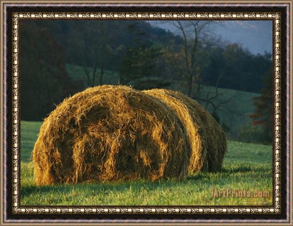 Raymond Gehman Hay Bales Dot a Virginia Hillside Framed Painting
