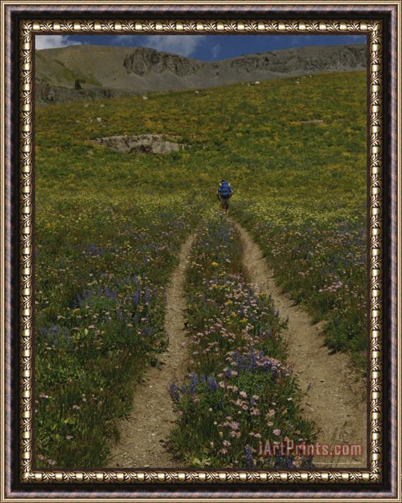 Raymond Gehman Hiker on an Alpine Trail Teton Crest Trail Wyoming Framed Painting