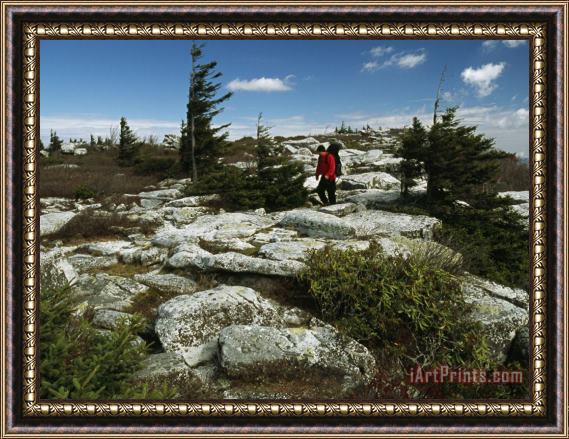 Raymond Gehman Hiker Traversing a Rocky Landscape Dotted with Evergreens Framed Print