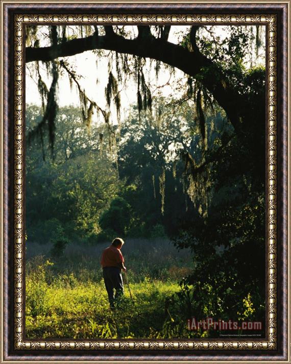 Raymond Gehman Hiking Through a Sunlit Woodland with Hanging Mosses Framed Print