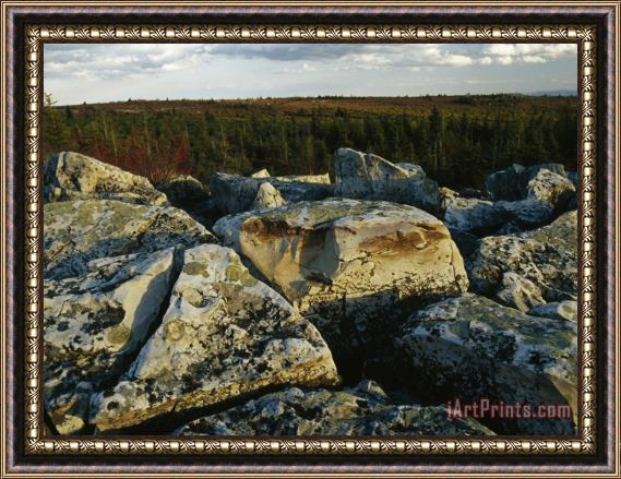 Raymond Gehman Large Boulders And Forest of Evergreens And Trees in Autumn Hues Framed Painting