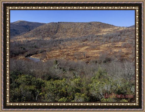 Raymond Gehman Looking Over Graveyard Fields From The Blue Ridge Parkway Framed Painting