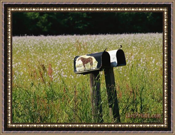 Raymond Gehman Mailboxes And a Field of Wildflowers Framed Painting