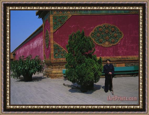 Raymond Gehman Man Stands Beside a Juniper Bush in The Forbidden City in Beijing Framed Print