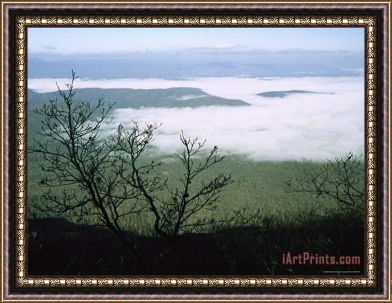 Raymond Gehman Morning Fog Blankets Thunder Ridge in Jefferson National Forest Framed Print