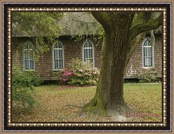 Raymond Gehman Old Church with Blooming Azaleas Oak Tree And Spanish Moss Framed Print