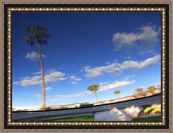 Raymond Gehman Palm Trees And Clear Blue Sky Refelcted in a Car's Shiny Finish Framed Print