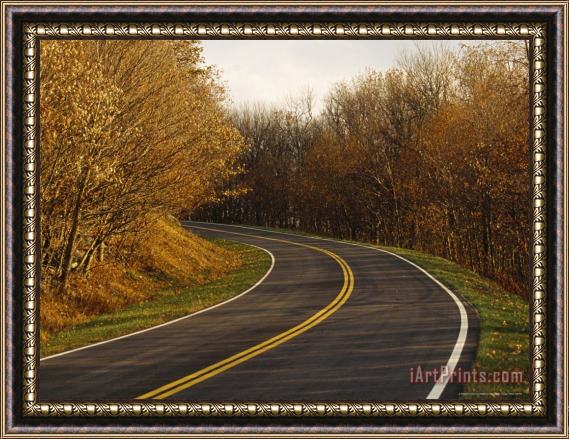 Raymond Gehman Paved Road Runs Through Trees with Autumn Foliage Framed Painting
