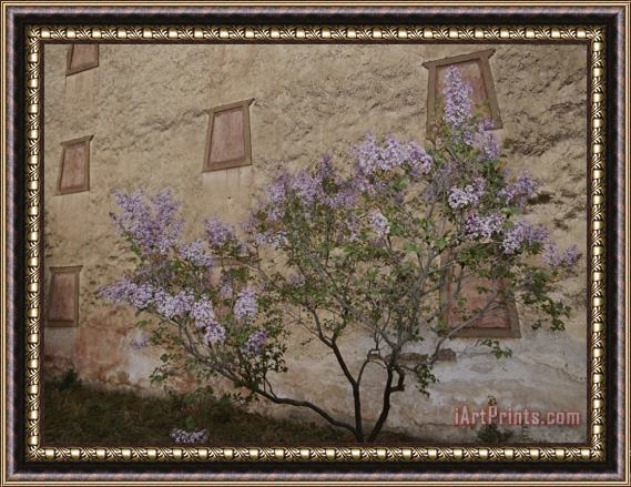 Raymond Gehman Potala Temple And Lilac Tree Framed Painting