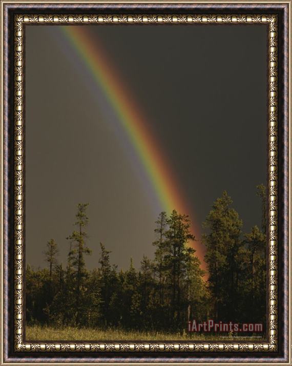 Raymond Gehman Rainbow Arches Above a Stone Mountain Forest Following a Rainstorm Framed Painting