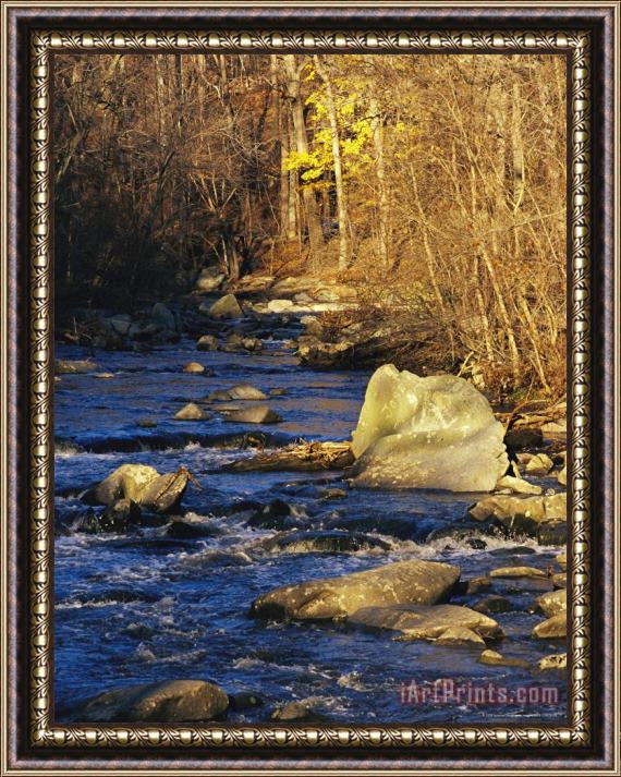 Raymond Gehman Rapids Bridge at Sunset with Boulders Yellow Foliage And Trees Framed Painting