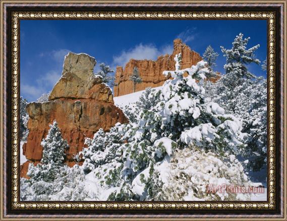 Raymond Gehman Red Rock Formations Poke Through a Late Winter Snow Framed Painting